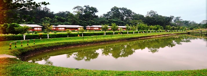 1849/Sun City - Lataguri 08.jpg